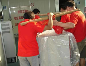 �麣�豸����